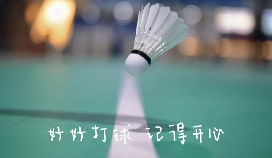 9.17南山羽毛球欢乐局@海润羽毛球馆