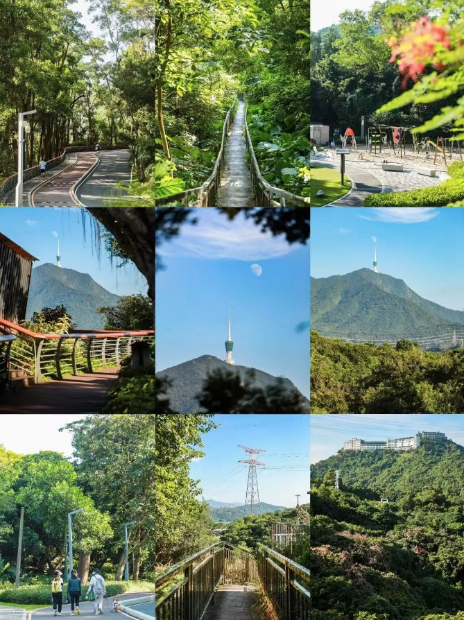 10.18 罗湖淘金山绿道轻徒步｜邂逅 “深圳版千岛湖” 湖光山色，轻松解锁绿色治愈之旅