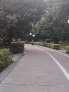 哦