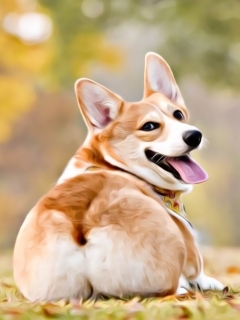 墨白