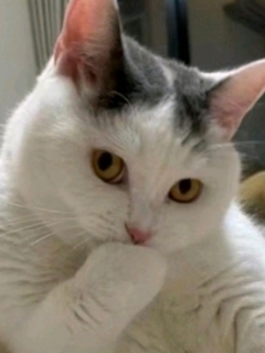 ？