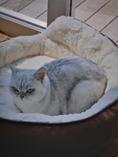 CatchInner