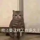 小溪🌊