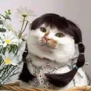 HOHO🐱 🐱