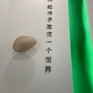 岚子烨