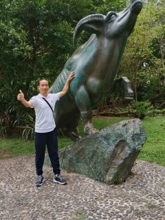 醉清风