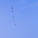 大海